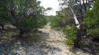 Frio Canyon Real Estate - Martin Martinez