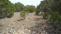 Frio Canyon Real Estate - Martin Martinez