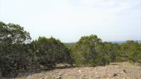 Frio Canyon Real Estate - Martin Martinez