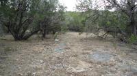 Frio Canyon Real Estate - Martin Martinez