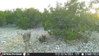 Frio Canyon Real Estate - Martin Martinez