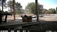 Frio Canyon Real Estate - Martin Martinez