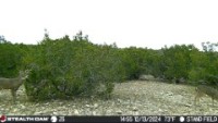 Frio Canyon Real Estate - Martin Martinez