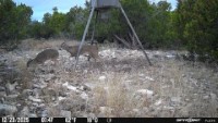 Frio Canyon Real Estate - Martin Martinez
