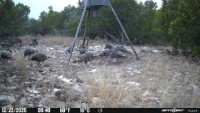 Frio Canyon Real Estate - Martin Martinez
