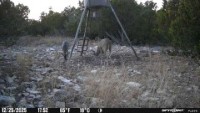 Frio Canyon Real Estate - Martin Martinez