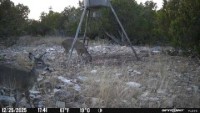 Frio Canyon Real Estate - Martin Martinez