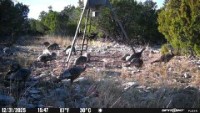 Frio Canyon Real Estate - Martin Martinez