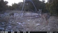 Frio Canyon Real Estate - Martin Martinez