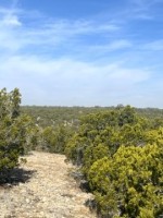 Frio Canyon Real Estate - Martin Martinez