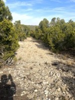 Frio Canyon Real Estate - Martin Martinez