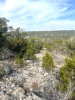 Frio Canyon Real Estate - Martin Martinez