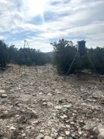 Frio Canyon Real Estate - Martin Martinez