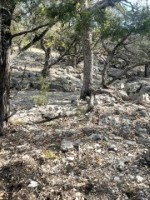 Frio Canyon Real Estate - Martin Martinez