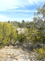 Frio Canyon Real Estate - Martin Martinez