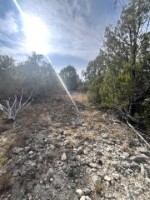 Frio Canyon Real Estate - Martin Martinez