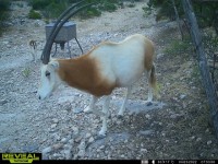 Frio Canyon Real Estate - Martin Martinez