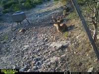 Frio Canyon Real Estate - Martin Martinez