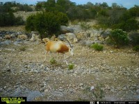 Frio Canyon Real Estate - Martin Martinez