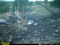 Frio Canyon Real Estate - Martin Martinez