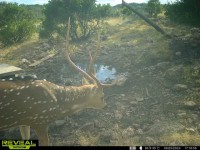 Frio Canyon Real Estate - Martin Martinez