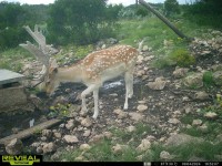 Frio Canyon Real Estate - Martin Martinez
