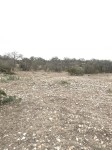 Frio Canyon Real Estate - Martin Martinez