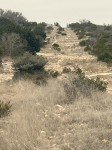 Frio Canyon Real Estate - Martin Martinez