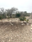Frio Canyon Real Estate - Martin Martinez
