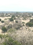 Frio Canyon Real Estate - Martin Martinez