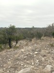 Frio Canyon Real Estate - Martin Martinez
