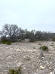 Frio Canyon Real Estate - Martin Martinez