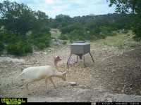 Frio Canyon Real Estate - Martin Martinez