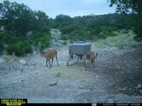 Frio Canyon Real Estate - Martin Martinez