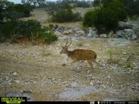 Frio Canyon Real Estate - Martin Martinez