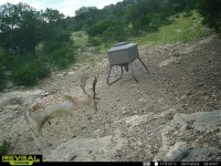 Frio Canyon Real Estate - Martin Martinez