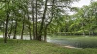 Frio Canyon Real Estate - Martin Martinez