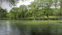 Frio Canyon Real Estate - Martin Martinez