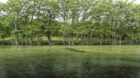 Frio Canyon Real Estate - Martin Martinez