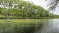Frio Canyon Real Estate - Martin Martinez