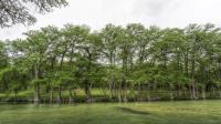 Frio Canyon Real Estate - Martin Martinez
