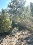 Frio Canyon Real Estate - Martin Martinez