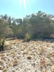 Frio Canyon Real Estate - Martin Martinez