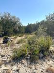 Frio Canyon Real Estate - Martin Martinez