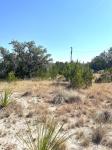 Frio Canyon Real Estate - Martin Martinez
