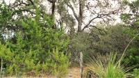Frio Canyon Real Estate - Martin Martinez