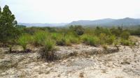 Frio Canyon Real Estate - Martin Martinez