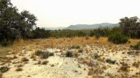 Frio Canyon Real Estate - Martin Martinez
