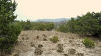 Frio Canyon Real Estate - Martin Martinez