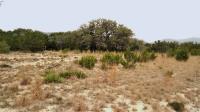 Frio Canyon Real Estate - Martin Martinez